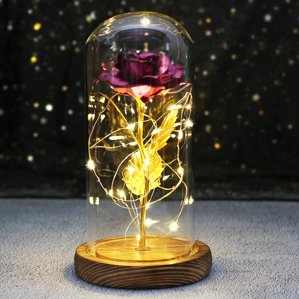 Best Mother's Day Gift Enchanted Galaxy Rose Beauty And The Beast LED Glass Dome Wood Base Flower Valentine's Day Christmas gift
