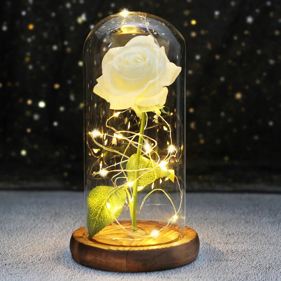 Best Mother's Day Gift Enchanted Galaxy Rose Beauty And The Beast LED Glass Dome Wood Base Flower Valentine's Day Christmas gift