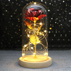 Best Mother's Day Gift Enchanted Galaxy Rose Beauty And The Beast LED Glass Dome Wood Base Flower Valentine's Day Christmas gift