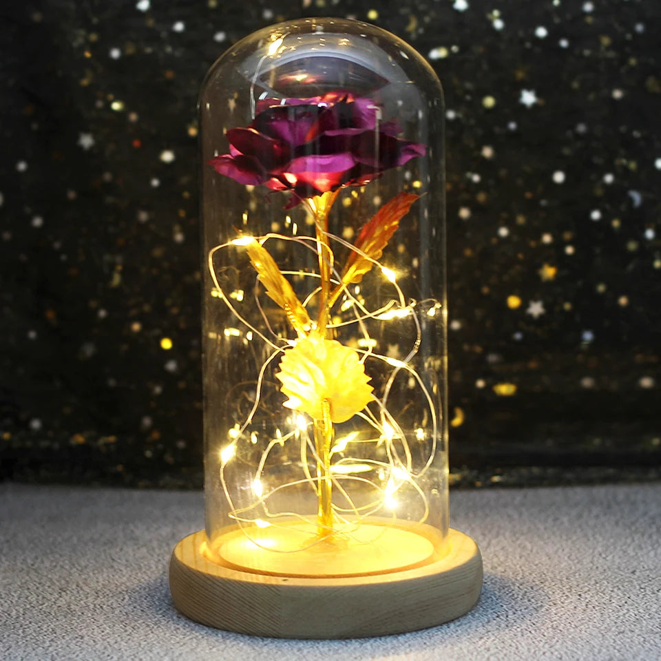 Best Mother's Day Gift Enchanted Galaxy Rose Beauty And The Beast LED Glass Dome Wood Base Flower Valentine's Day Christmas gift