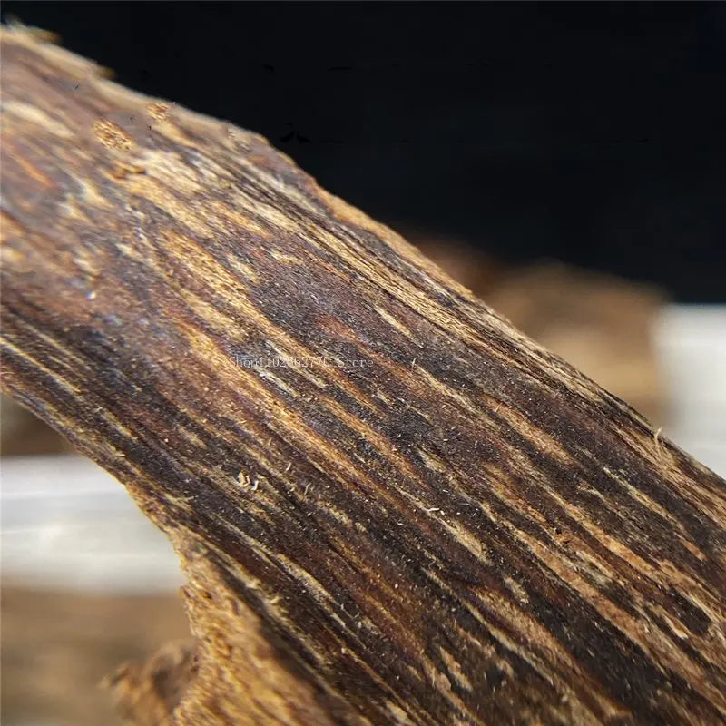 10g Black Oil Hainan Aloes Insect Leakage Raw Material Ornaments Natural Aloes Insect Eye Household Incense Furnace Raw Material