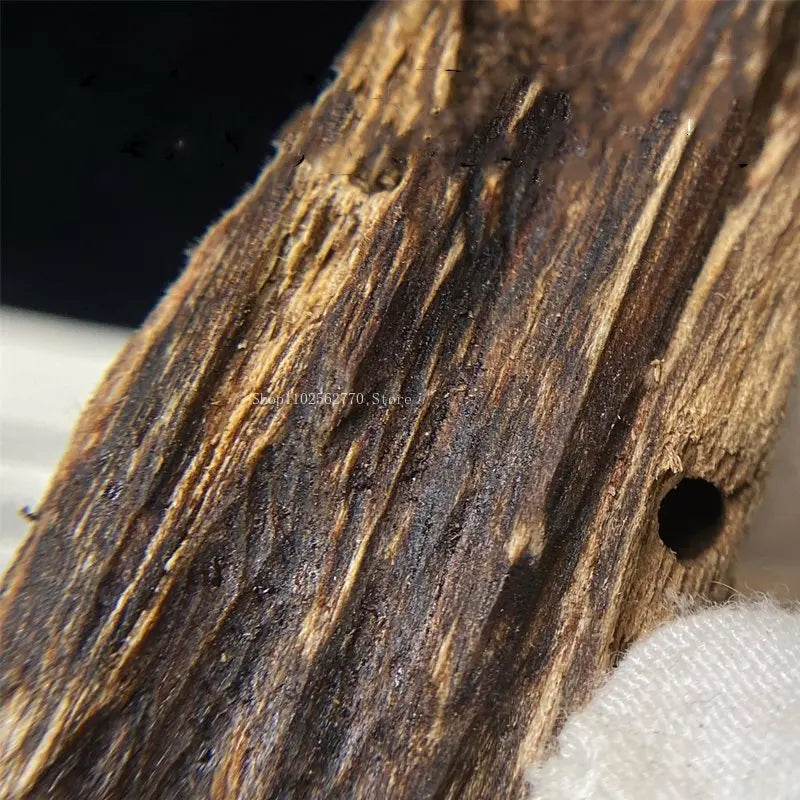 10g Black Oil Hainan Aloes Insect Leakage Raw Material Ornaments Natural Aloes Insect Eye Household Incense Furnace Raw Material